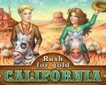 Rush for gold: California Steam CD Key