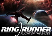 Ring Runner: Flight of the Sages Steam CD Key