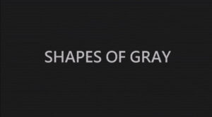 Shapes of Gray Steam CD Key Action 2025-01-12