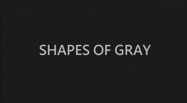 Shapes of Gray Steam CD Key Action 2025-01-12