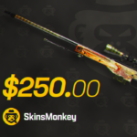 Skinsmonkey250 800 1.png