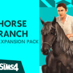 The Sims 4 Horse Ranch 800 1.jpg