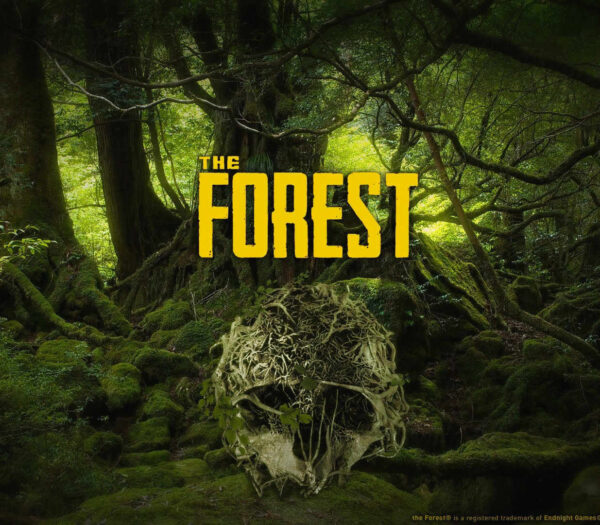 The Forest Steam CD Key FPS 2024-09-20