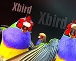 Xbird Steam CD Key