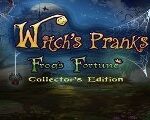 Witch's Pranks: Frog's Fortune Collector's Edition Steam CD Key