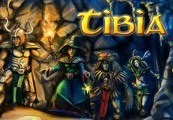 Tibia 180 Days of Premium Time