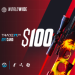 Tradeit.gg 100 USD Gift Card