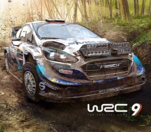 WRC 9 FIA World Rally Championship Epic Games CD Key Casual 2024-09-19