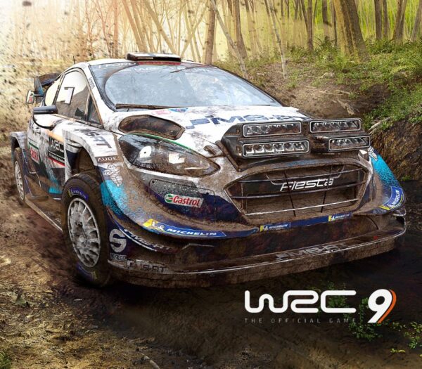 WRC 9 FIA World Rally Championship Epic Games CD Key Casual 2024-09-19