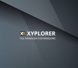 Xyplorer – File Manager for Windows CD Key (Lifetime / 1 User) Software 2024-09-20