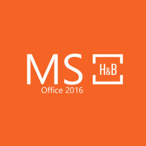 MS Office 2016 Home and Business Retail Key Others 2024-10-16