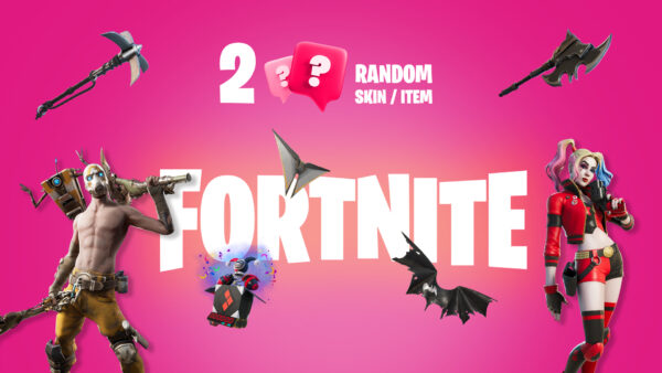 2 Random Fortnite Skins / Items Epic Games CD Key Action 2025-01-30